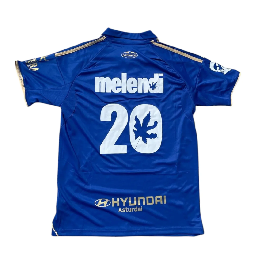 OVIEDO x MELENDI